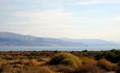 IMG_0267.JPG